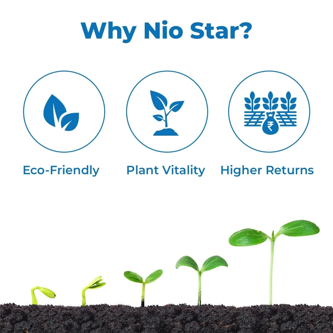 Nio Star - Superior Plant Growth Promoter and High-Performance Yield Enhancer (Fulvic Acid + NATCA + Organic Enzyme + Emulsifier) - Image 3