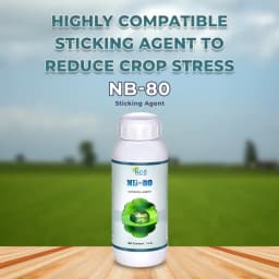NB-80 Sticking Agent, Used with Herbicides, Insecticides, Fungicides, and Miticides 2