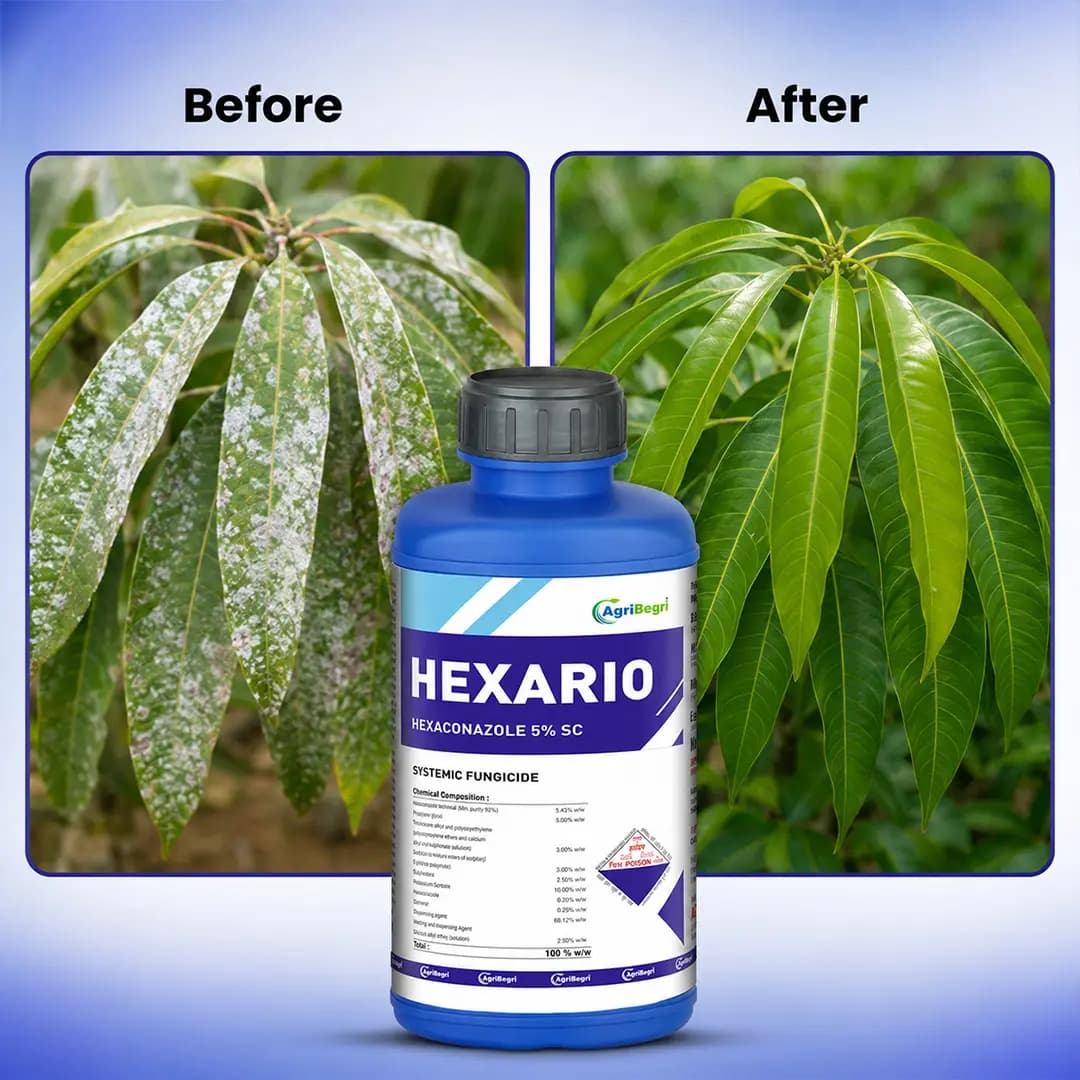 Hexario Fungicide - Hexaconazole 5% SC - Image 6