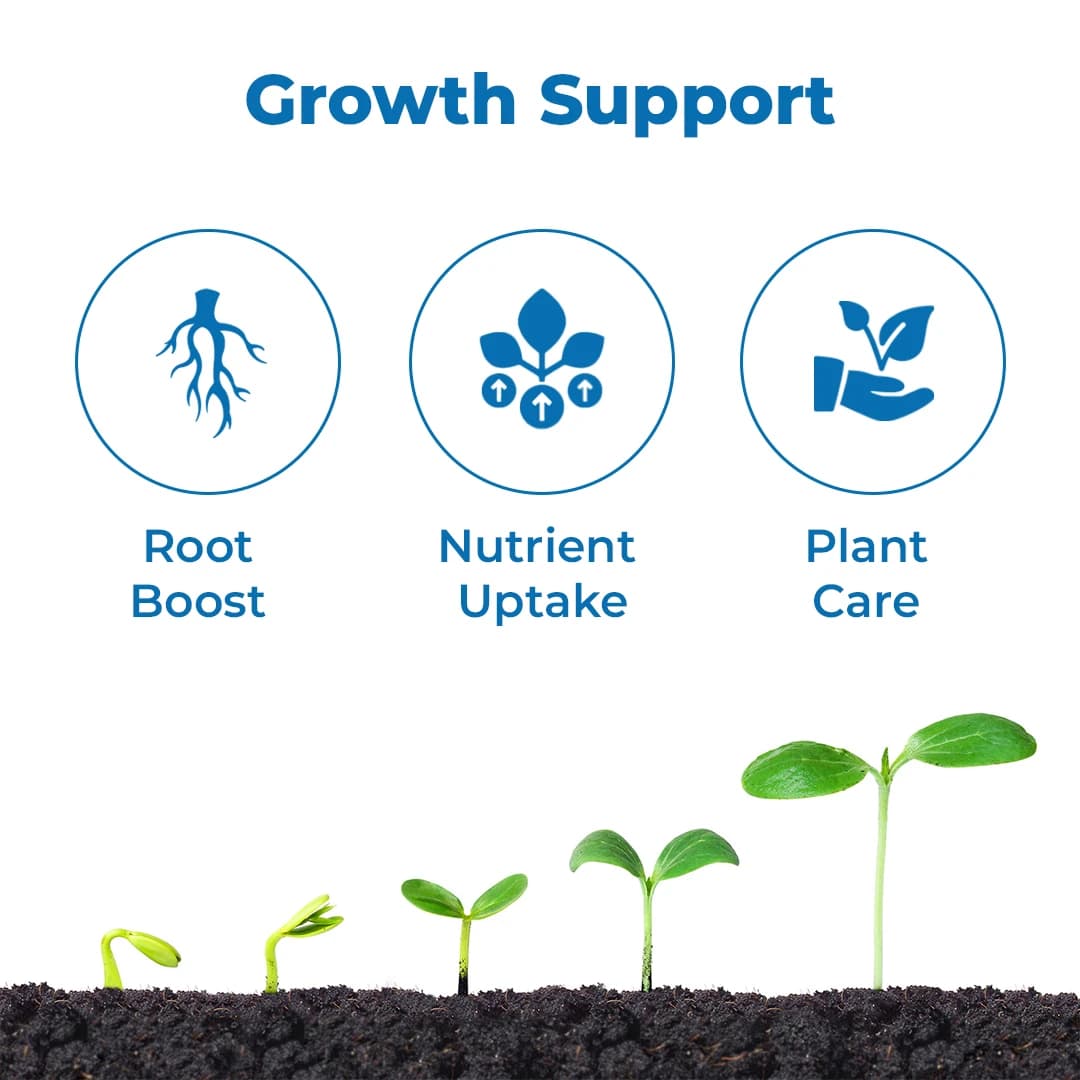 InGene Nanozim DeLite WG Bio-Stimulant, Advanced Seaweed Based For Enhanced Crop Growth And Yield - Image 4