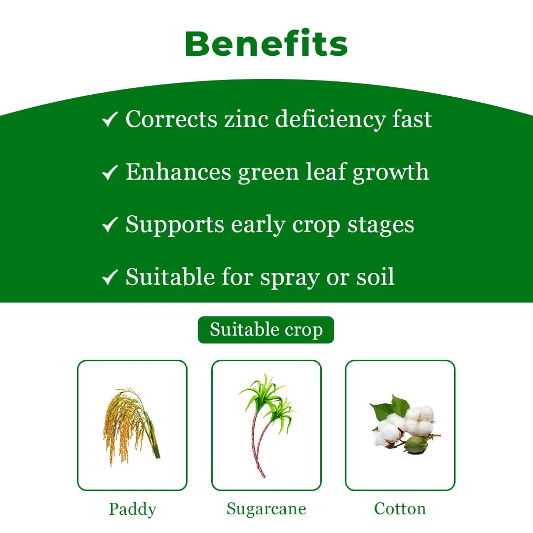 Oxizinc-395 Fertilizer - Zinc Oxide Suspension Concentrate 39.5% ZN - Image 4