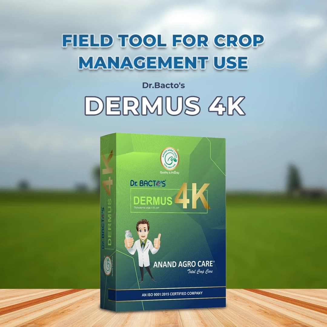 Dr. Bacto\'s Dermus 4K Trichoderma Viride Is An Ecofriendly Bio-Fungicide And Nematicide. This Product Is Based On Dextrose Base Technology. - Image 2