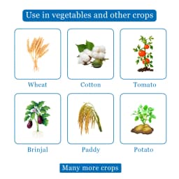 BACF BOXAM - Thiamethoxam 25% WG Insecticide, Systemic And Contact Insecticide 4