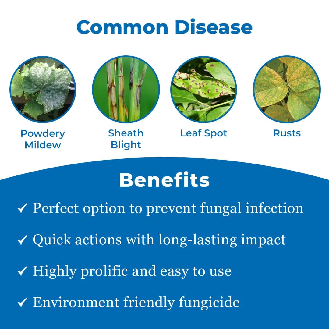 Hexario Fungicide - Hexaconazole 5% SC - Image 3