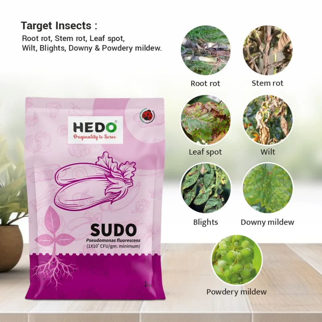 HEDO Sudo Pseudomonas Fluorescence Powder, Bio Fungicide For Agriculture, Garden & All Crops To Control Fungal Disease & Soil Borne Disease - Image 3