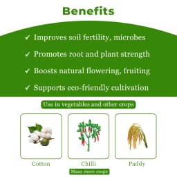 Orcon+ Speciality Adjuvant with Antifeedant Properties. For Chilli, Cotton & Paddy, Specially for Black Thrips In Chilli Crop 4