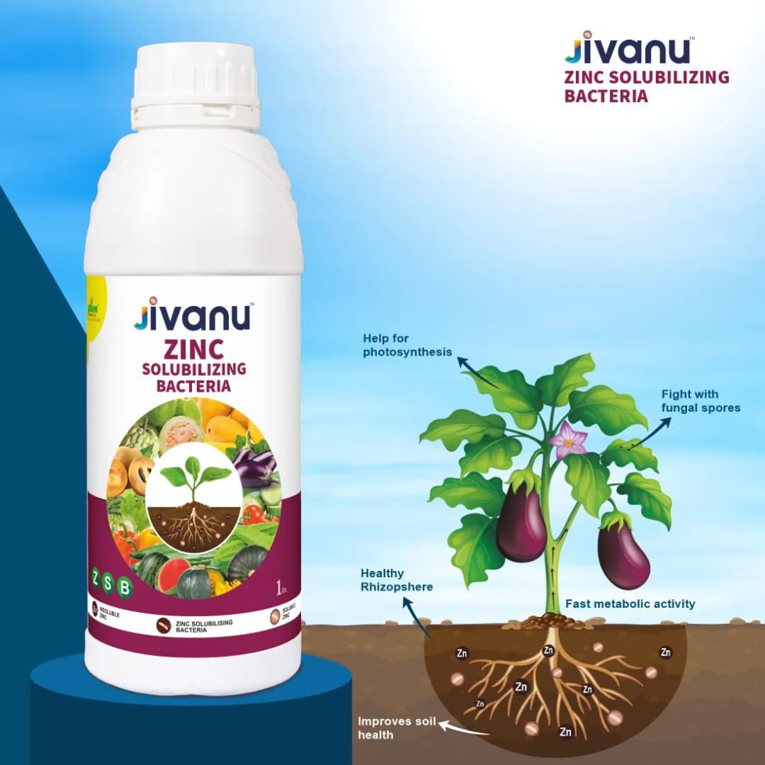 Green Revolution Jivanu ZSB Zinc Solubilizing Bacteria Liquid Bio Fertilizer, Boosts Soil Fertility And Sustainability - Image 5