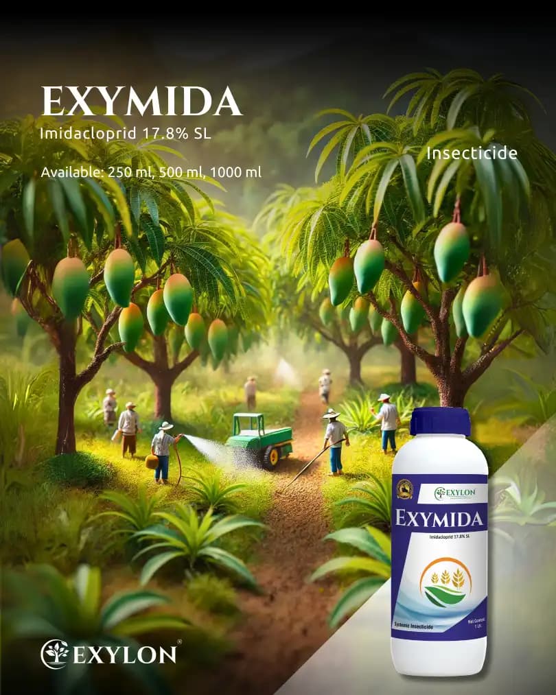 Exylon Exymida Imidacloprid 17.8% SL Insecticide, Efficient For Sucking Pests Control Solution In Crops - Image 2