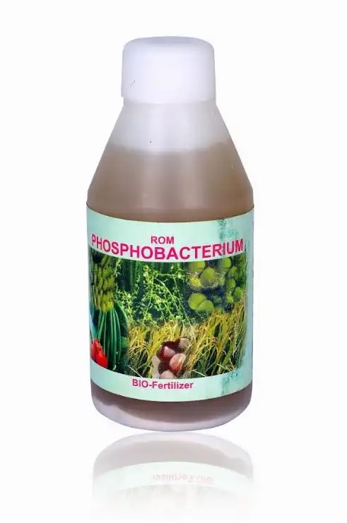 ROM Phosphobacterium (Liquid Bio Fertilizer) For Producing The Organic Acid.