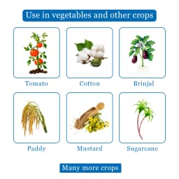 Carbine 20 - Chlorpyriphos 20% EC Insecticide, For Controlling Termite, Aphids, Bollworms, Whitefly & Cut Worm, Hispa, Leaf Roller, Stem Borer 4