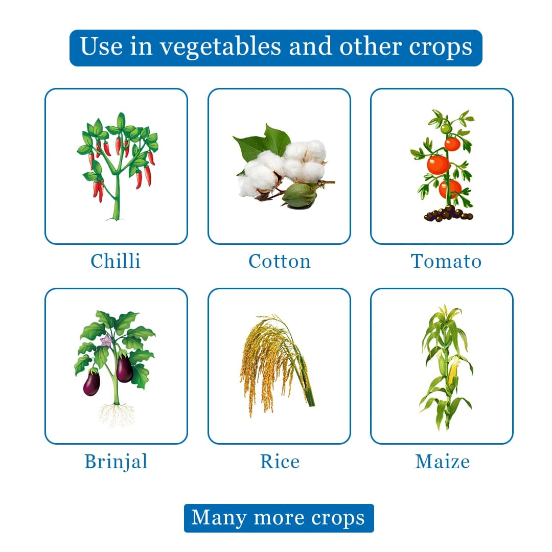 BACF Priorat 404 Insecticide - Image 4