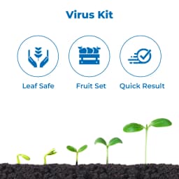 Chilli Special Combo Specially made for Chilli Crop, contains anti viral, anti fungal, flowering & fruiting enhancer, biofertilizer 3