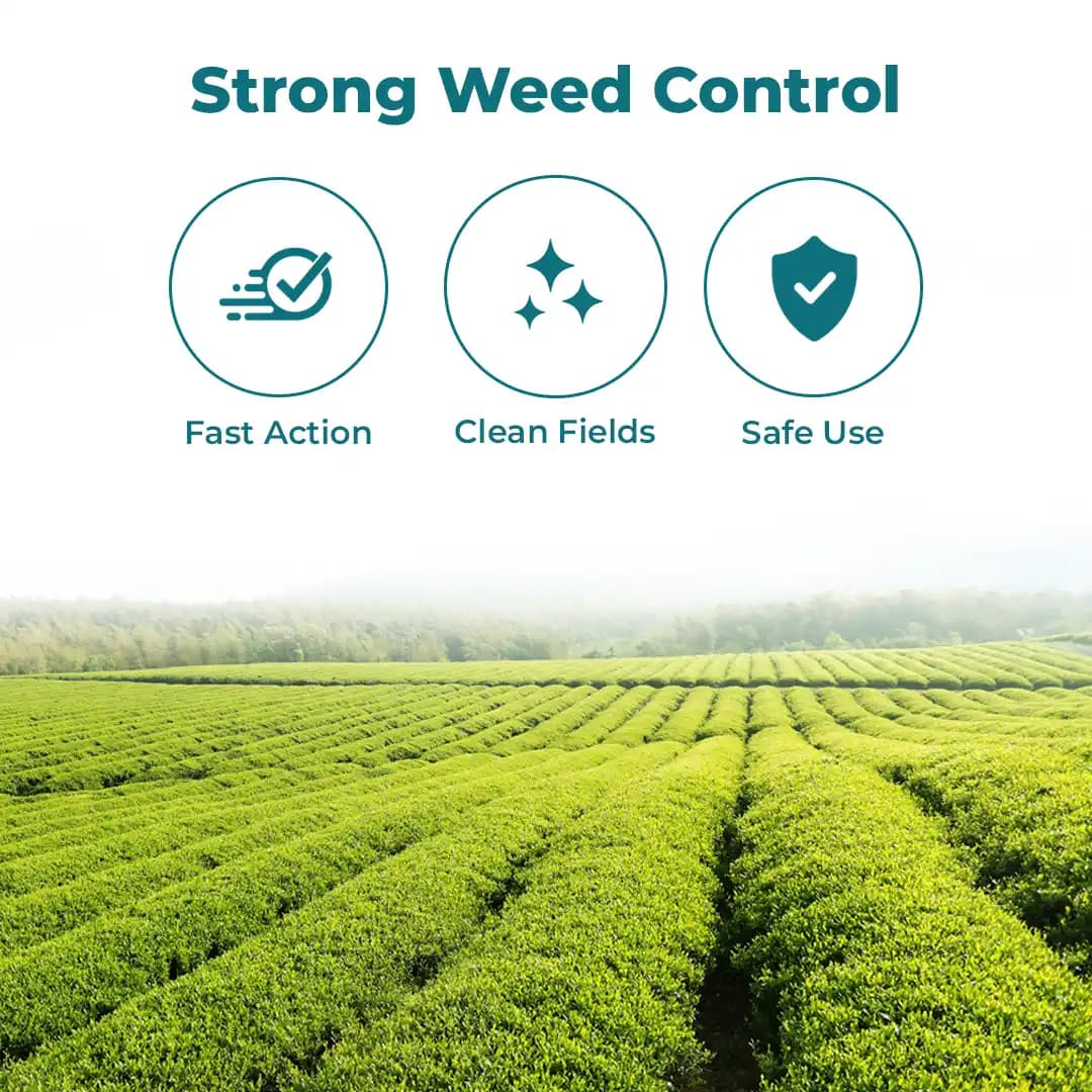 Nathsagar 7T ONE Glyphosate 71% SG , Non Selective Post Emergence Herbicide - Image 3