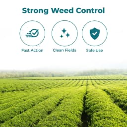 Nathsagar 7T ONE Glyphosate 71% SG , Non Selective Post Emergence Herbicide 3