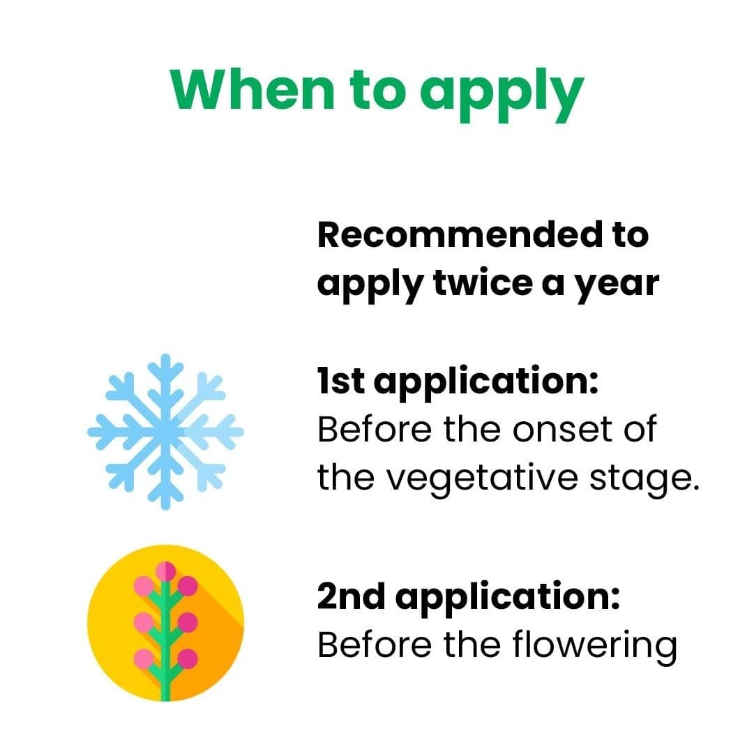 Titan Agritech MYCOPEP Mycorrhizae Bio Fertilizer, Soil Fertility And Plant Nutrition - Image 4