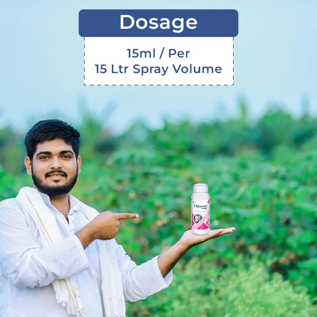 FLOWER MAGIC - Effective Flowering Stimulant and Enhancer, Combination Of N.B, Emulsifier, and Fulvic Acid - Image 5