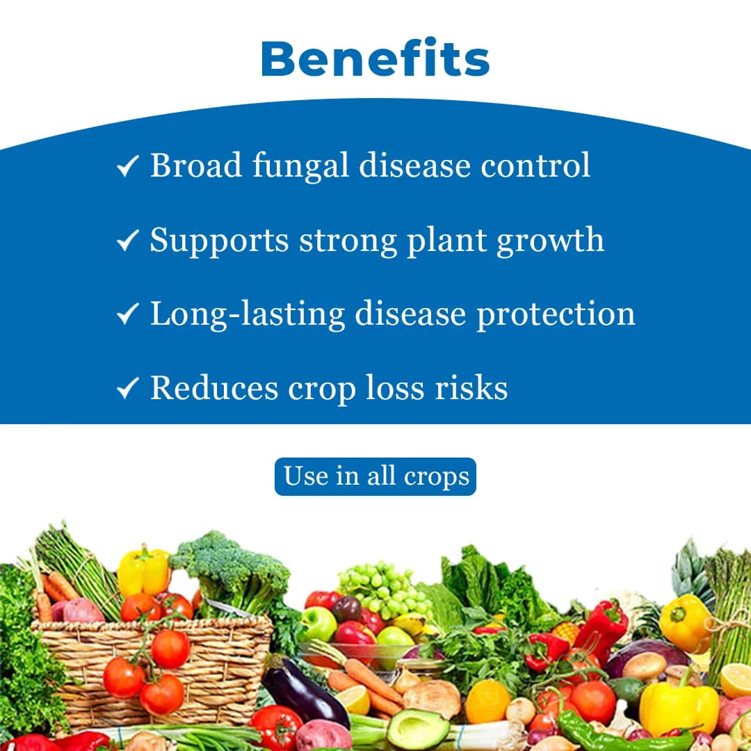 TATA Rallis CONTAF PLUS Hexaconazole 5% SC, Systemic Triazole Fungicide, Useful for Controlling Powdery Mildew - Image 4