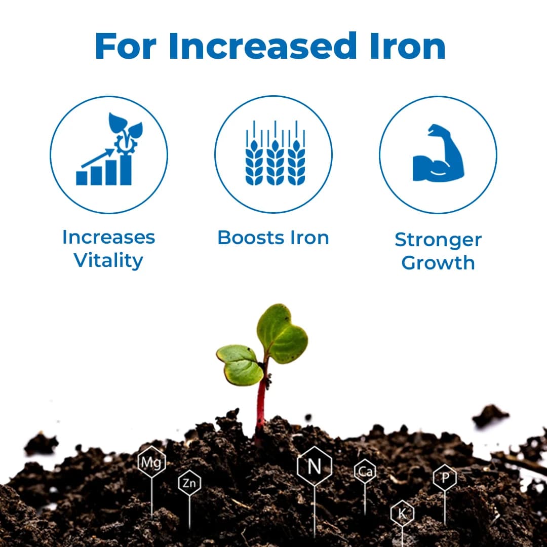 Katyayani Micronutrient Iron EDTA Fe 12% EDTA Fertilizer For Plant And Overall Development. - Image 3