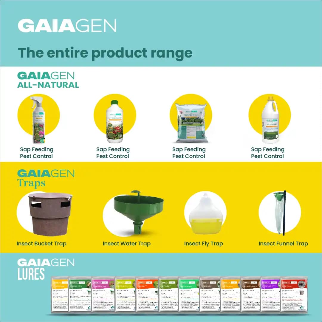 Gaiagen RPW Lure With Insect Bucket Traps, Pheromone Lure For Red Palm Weevil (Rhynchophorus Ferrugineus), IMO Certified. - Image 10