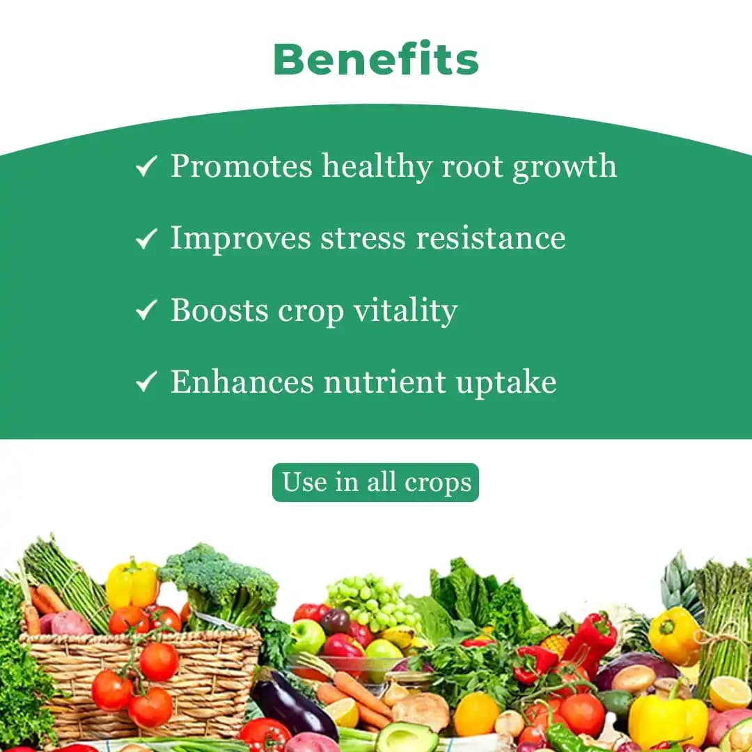 Thyla N (Nitrogen) Yield Enhancer. Increase the chlorophyll content in the leaves leading to higher photosynthetic rate. - Image 4