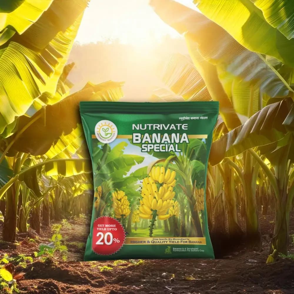 Greenovate Agrotech Nutrivate Banana Special, Crop Specific Micronutrient Fertilizer For Yield And Fruit Quality In Banana Crop - Image 3
