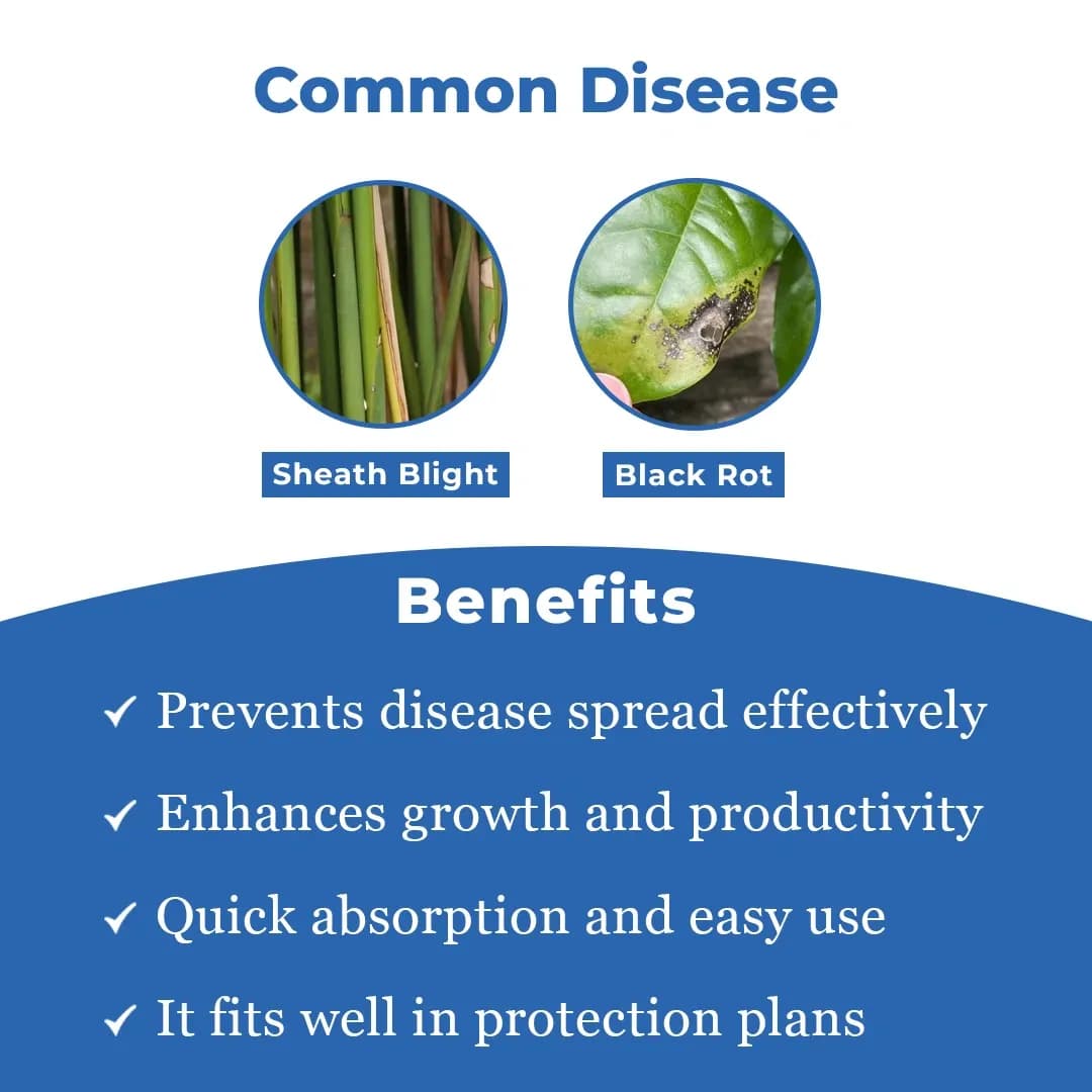 EBS Validaguard Validamycin 3% L Fungicide, Effective Against Soil Borne Diseases - Image 3