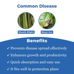 EBS Validaguard Validamycin 3% L Fungicide, Effective Against Soil Borne Diseases 3