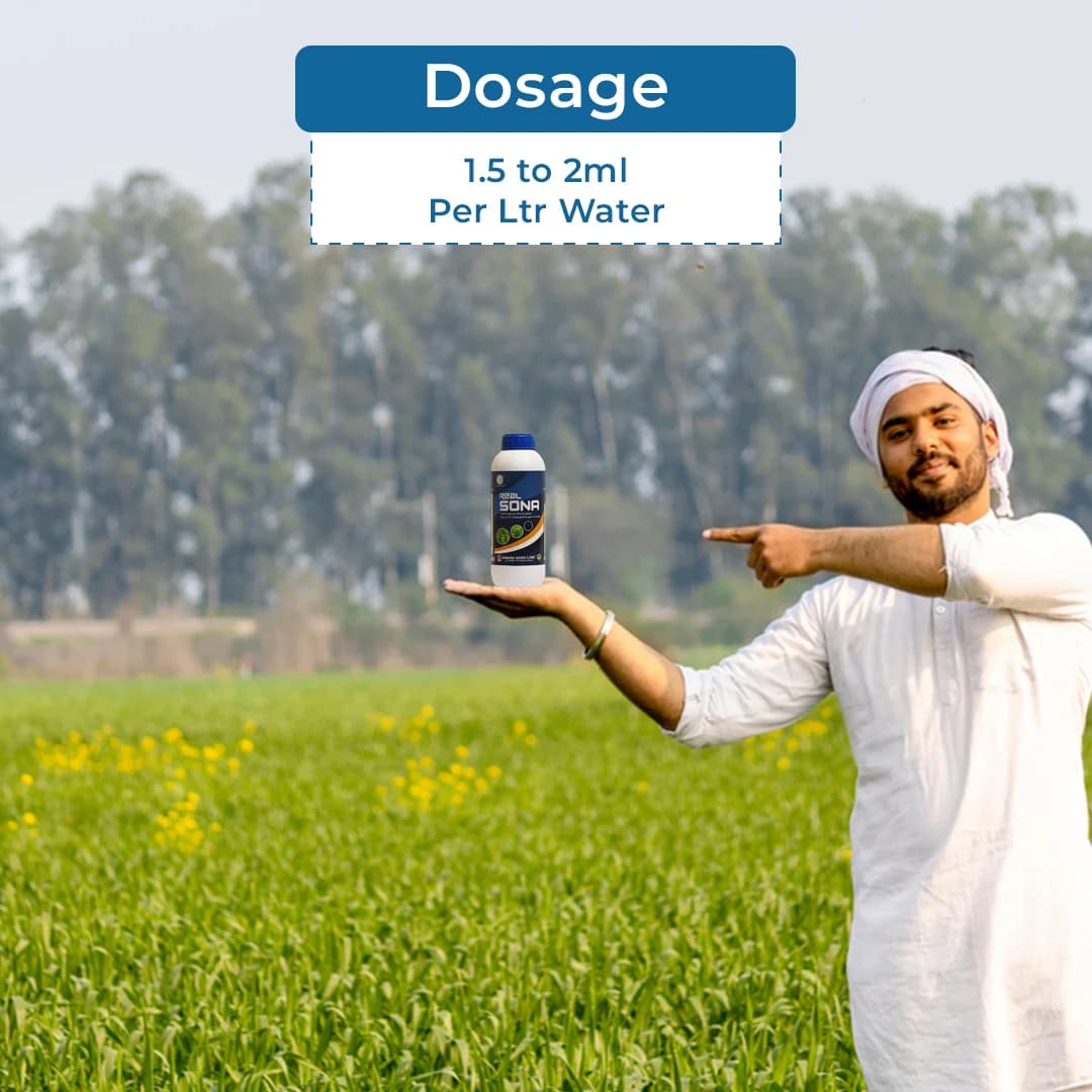 Real Sona (Grapes Special) Improves Length, Bunch Berry, Color & Weight Of Grapes - Image 5