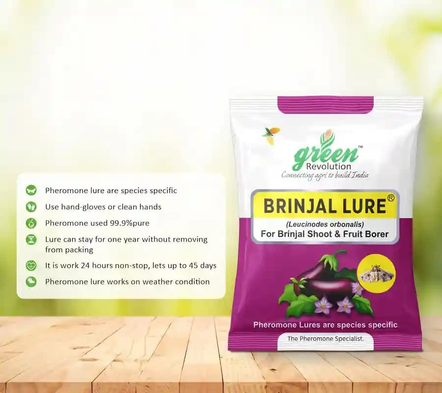 Water Pheromone Trap with Brinjal Lure (Leucinodes Orbonalis) For Brinjal Fruit and Shoot Borer Insect. - Image 3