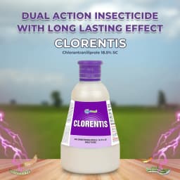 Clorentis Insecticide - Chlorantraniliprole 18.5% SC 2