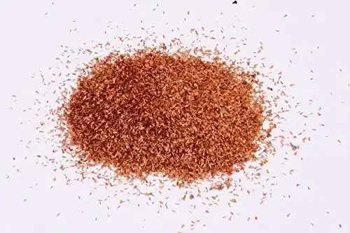 RK Seeds - Bottlebrush Trees Seeds, Callistemon Seeds, Ornamental Tree Seeds