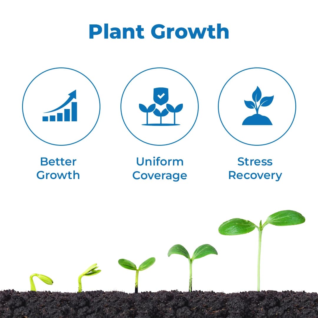 EBS Grow Booster (Homobrassinolide 0.04%) Plant Growth Regulator, Increases Flowering And Provides Resistance Against Stress And Diseases - Image 3