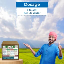 Chilli Special Combo Specially made for Chilli Crop, contains anti viral, anti fungal, flowering & fruiting enhancer, biofertilizer 5