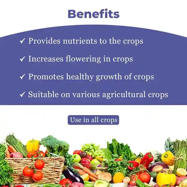 Spring Flower - Special Plant Bio-Stimulant for Enhancing Flowering and Promoting Rapid Growth - Image 4