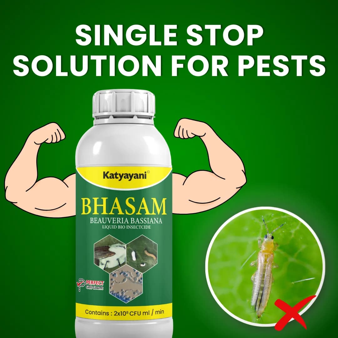 Katyayani Bhasam Beauveria Bassiana Bio Pesticide - Powerful Organic Insect Control for Managing Sucking Pests - Image 2