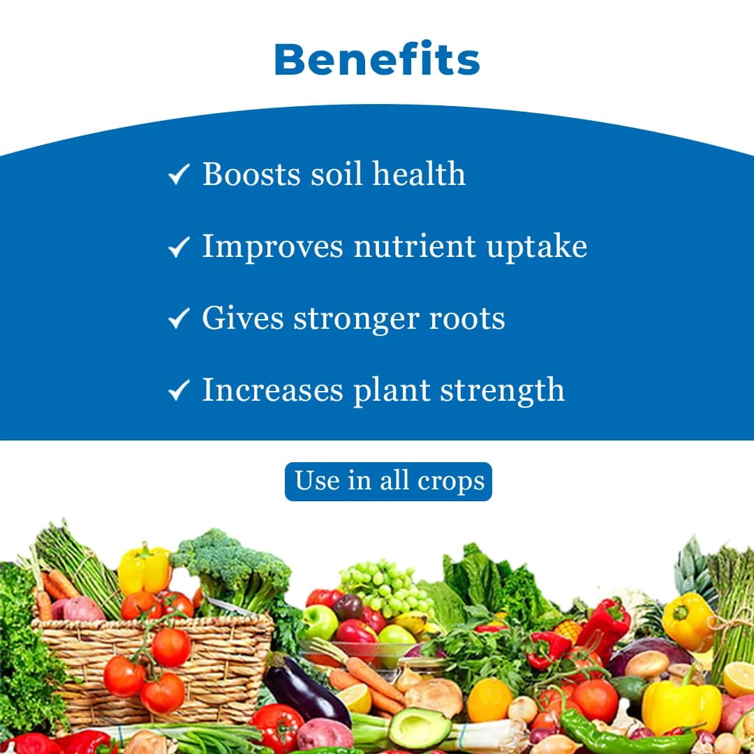 Humi Pro 12 (Humic Acid + Fulvic Acid) Flowering, Fruiting, Root Growth, Suitable for Drip, Foliar Spray and Drenching - Image 4