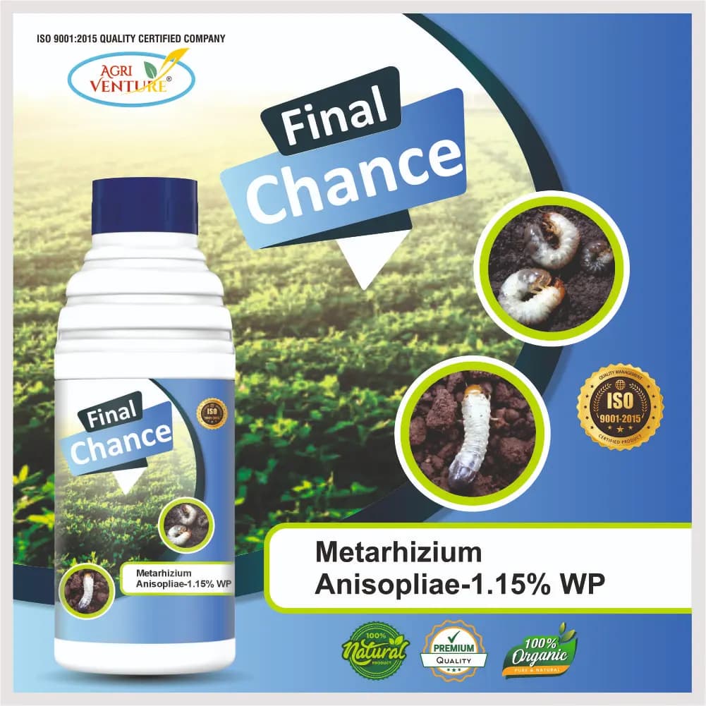 AgriVenture FINAL CHANCE (Metarhizium Anisopliae 1.15% WP) Bacterial Products, Best for White Grub - Image 2