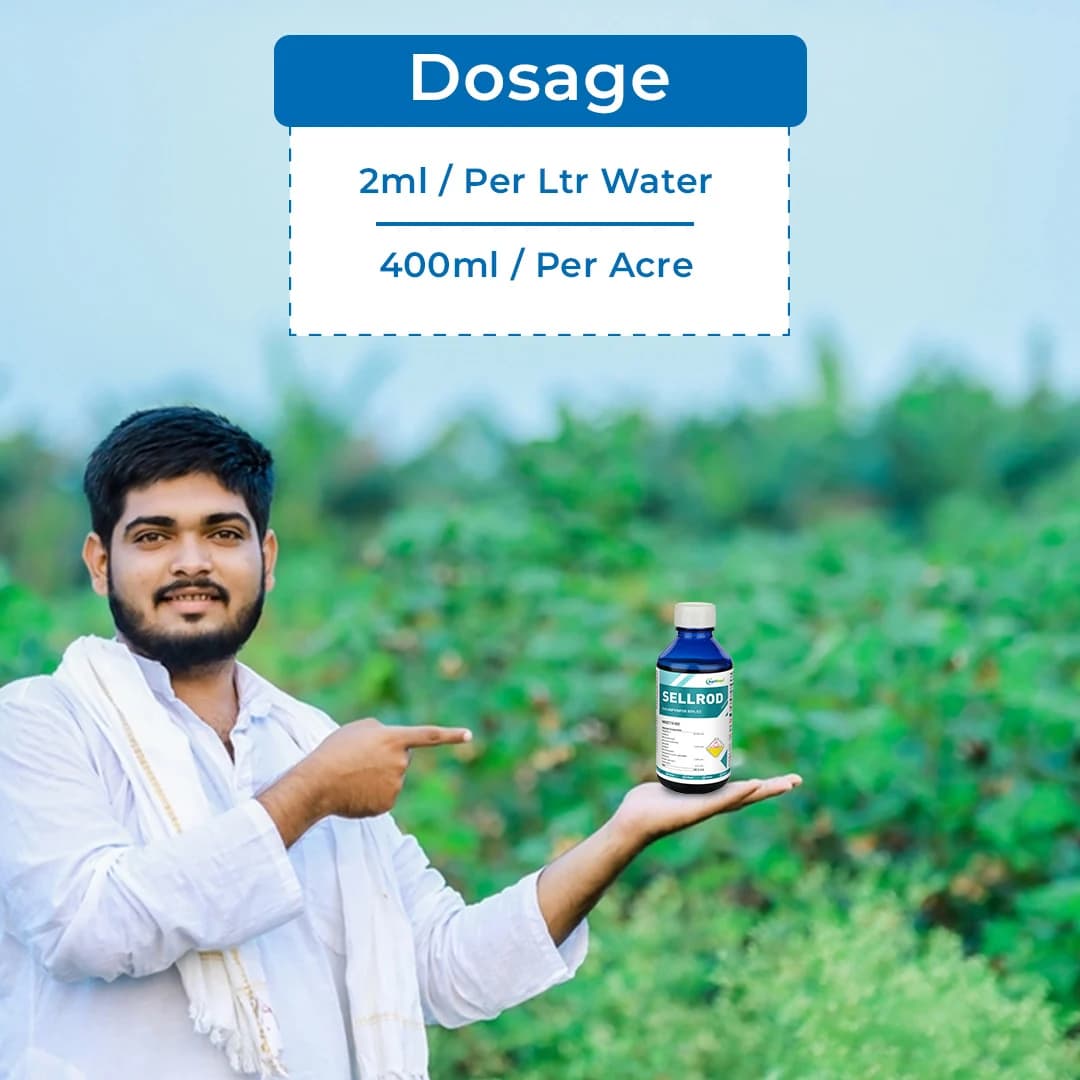 Sellrod - Chlorpyrifos 50% EC, Control Insects Such As Wireworm, Beetles, and Aphids - Image 5