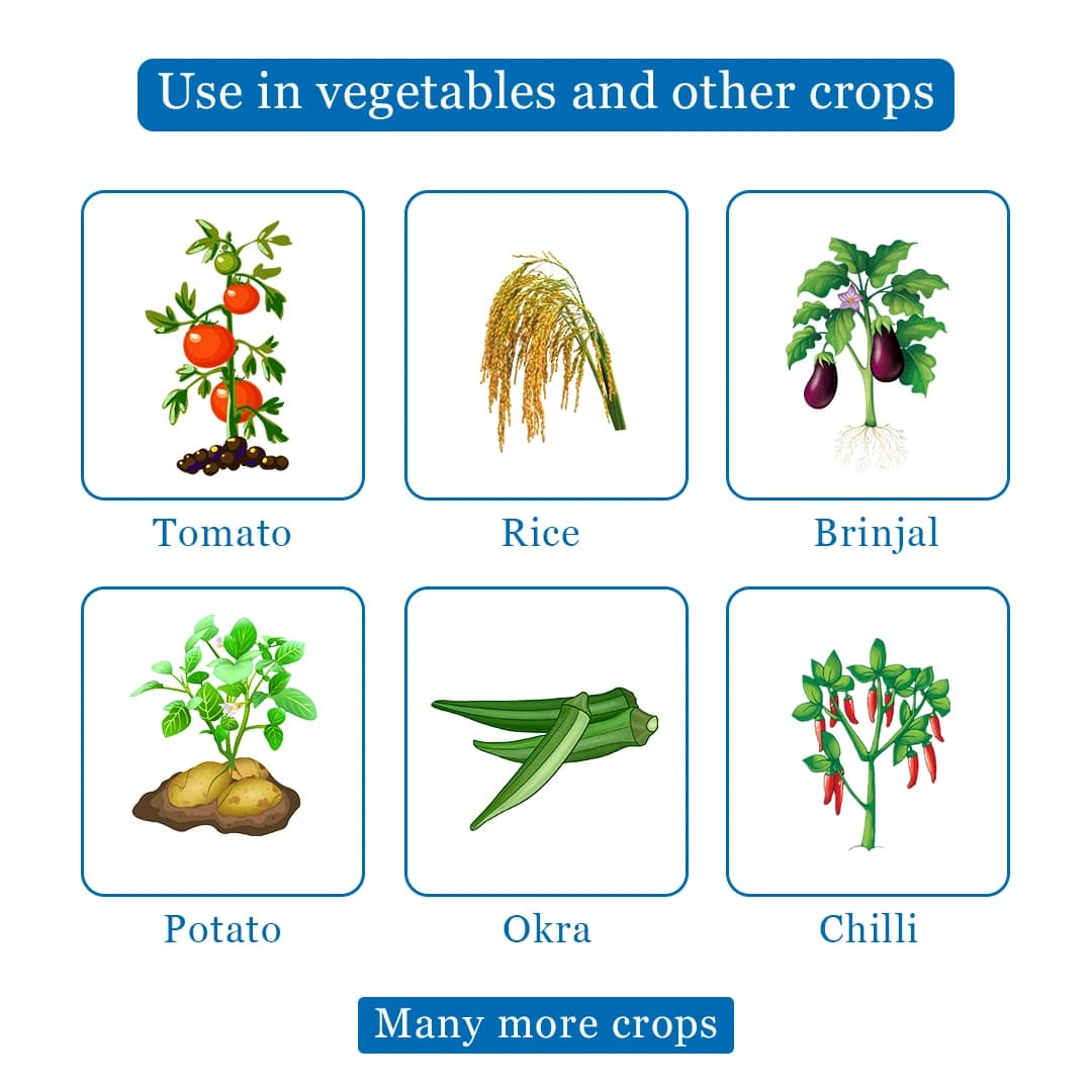 Swal Kinsta SC Insecticide - Image 4