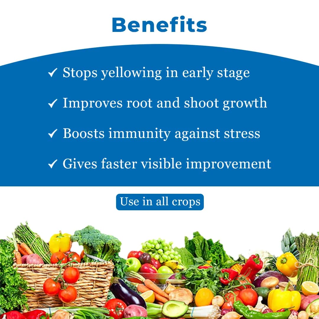 Chelamin Plus Chelated Zinc Fertilizer - Image 4