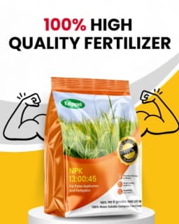 Katyayani NPK 13:00:45 Potassium Nitrate, 100% Water Soluble Fertilizer For Foliar & Fertigation 2