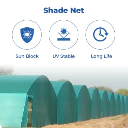 Mipatex Garden Shade Net 90% UV Stabilized Sun Protected Green House, Protect Flowers and Plants Green, Multi-Purpose Long Lasting Material 2