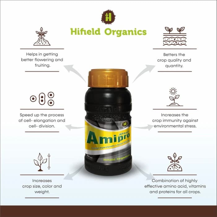 Hifield Amipro 30% SL Protien Hydrolysate Liquid. Amino Acid, Organic Nitrogen Supplement, Proteins Supplement, Energy booster, Immunity Booster. - Image 3