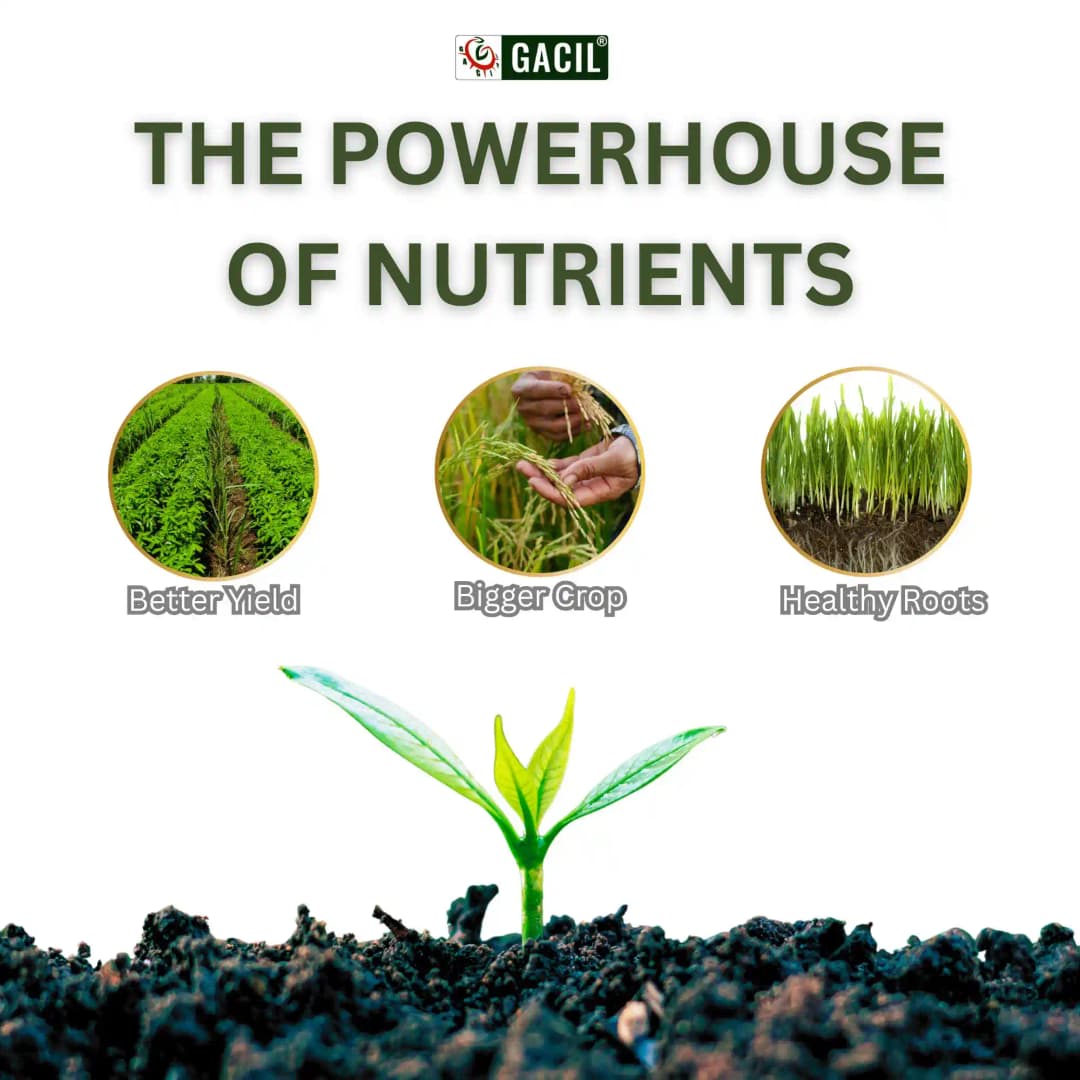 GACIL Calcium Magnesium Nitrate Liquid Micronutrient Fertilizer for Plant Growth - Image 5