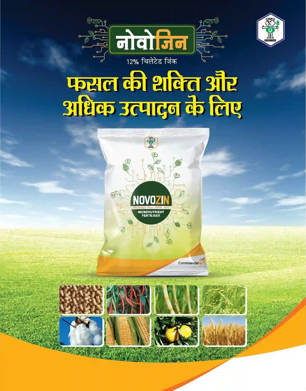 Coromandel Novozin - Chelated Zinc Fertilizer - Image 2