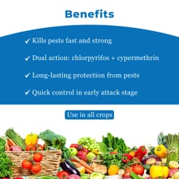 IIL Lethal Super 505 Chlorpyriphos 50% + Cypermethrin 5% EC Insecticide, Effective Against a Wide Range of Pests 4