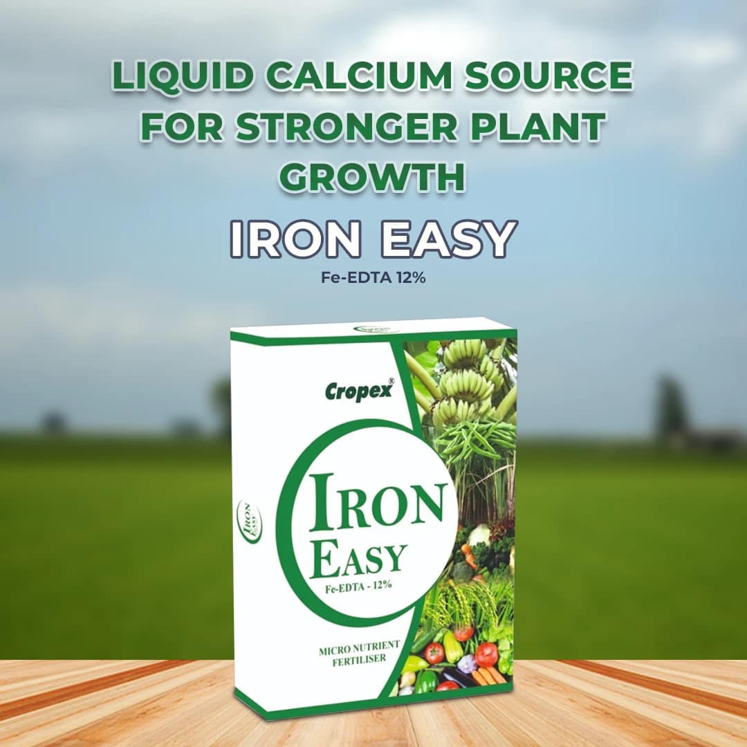 Iron Easy Fe-EDTA 12% Improves Chlorophyll formation, Prevents and Corrects Iron Deficiencies - Image 2