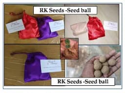 RK Seeds - Seed Balls, Economically Important Tree Seeds Ball, Teak, Neem, Fruit Bearing Seeds Ball, Flowering Seed, Soil Erosion Control Seed Ball 3
