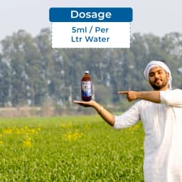 AgniAstram Organic Liquid Pesticide for All Type of Plants, A Complete organic pesticide prepared with the Indian traditional methodology. 5