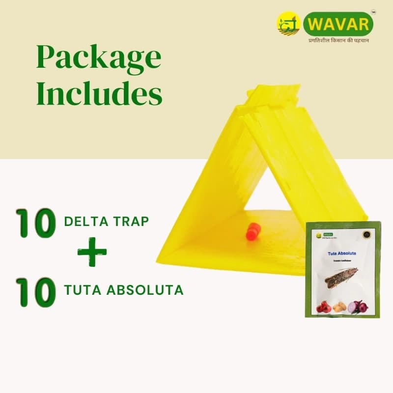 WAVAR Tuta Absoluta Delta Trap, Effective For Tomato Leaf Miner Pest Control In Crops - Image 3